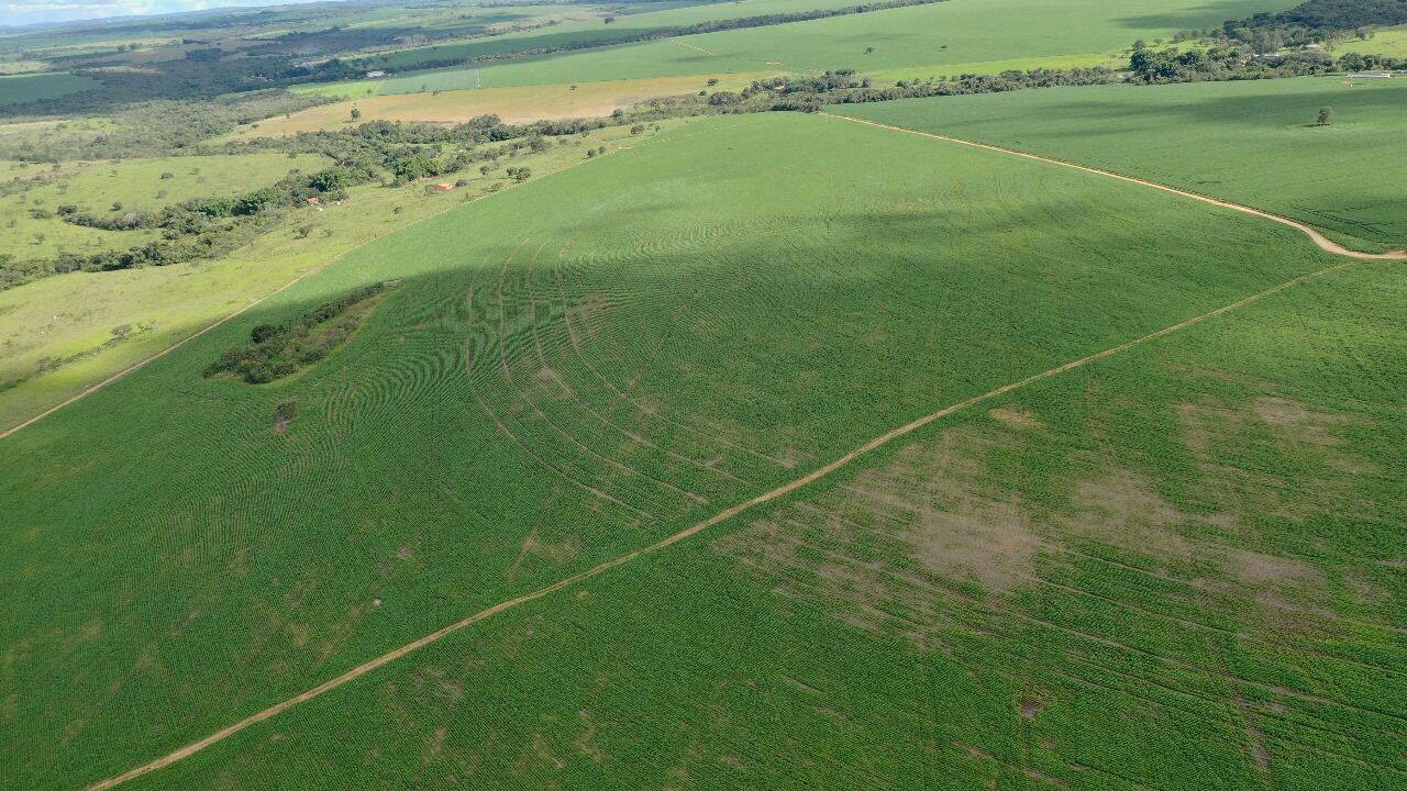 Fazenda à venda, 390000m² - Foto 12