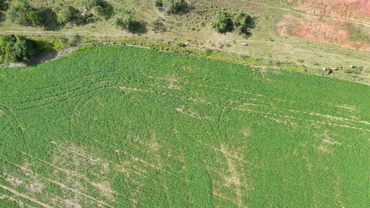 Fazenda à venda, 390000m² - Foto 15