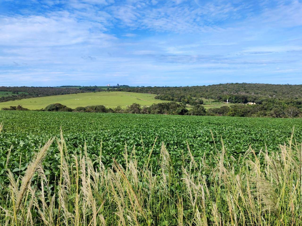 Fazenda à venda, 390000m² - Foto 20