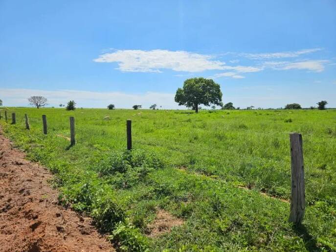 Fazenda à venda, 11190000m² - Foto 2