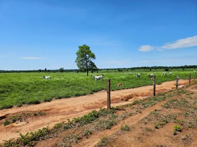 Fazenda à venda, 11190000m² - Foto 3