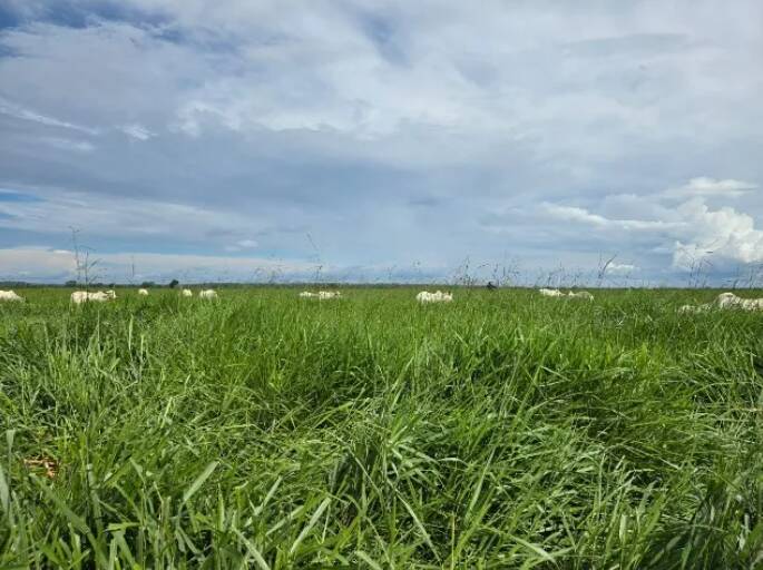 Fazenda à venda, 11190000m² - Foto 13