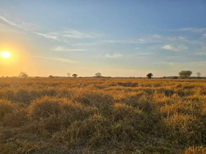 Fazenda à venda, 11190000m² - Foto 16