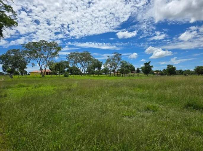 Fazenda à venda, 11190000m² - Foto 19