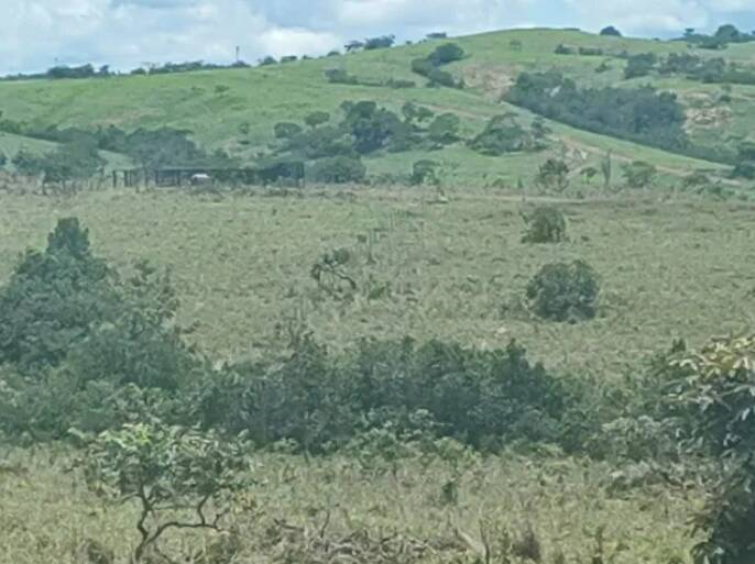 Terreno à venda, 482000m² - Foto 10