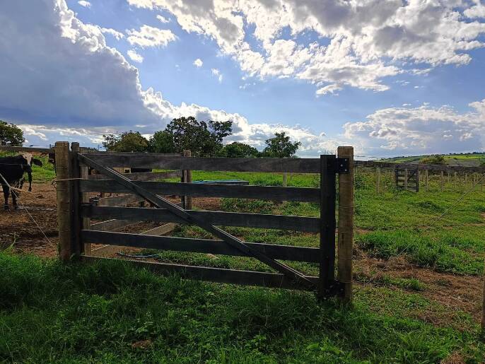 Fazenda à venda com 3 quartos, 50000m² - Foto 2