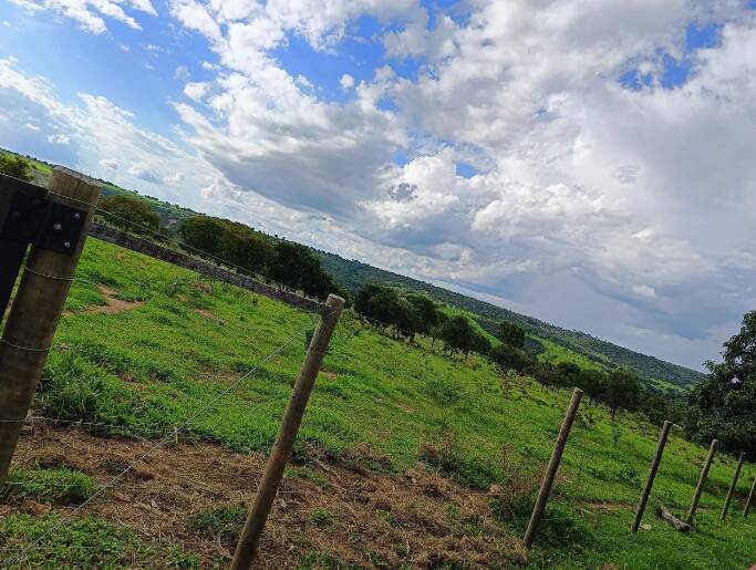 Fazenda à venda com 3 quartos, 50000m² - Foto 3