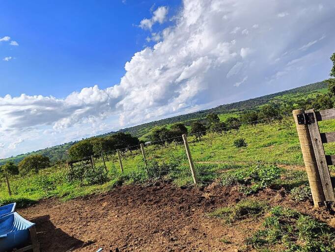 Fazenda à venda com 3 quartos, 50000m² - Foto 5