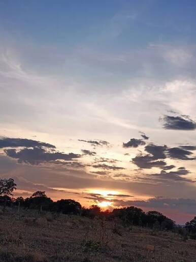 Fazenda à venda com 3 quartos, 50000m² - Foto 8