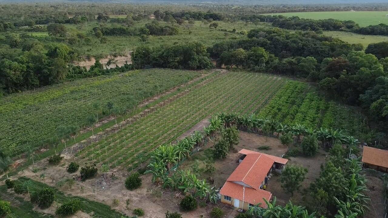 Fazenda à venda com 3 quartos, 330000m² - Foto 2