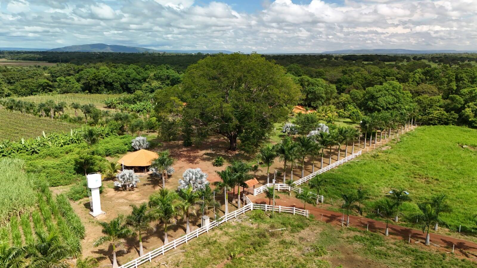 Fazenda à venda com 3 quartos, 330000m² - Foto 9