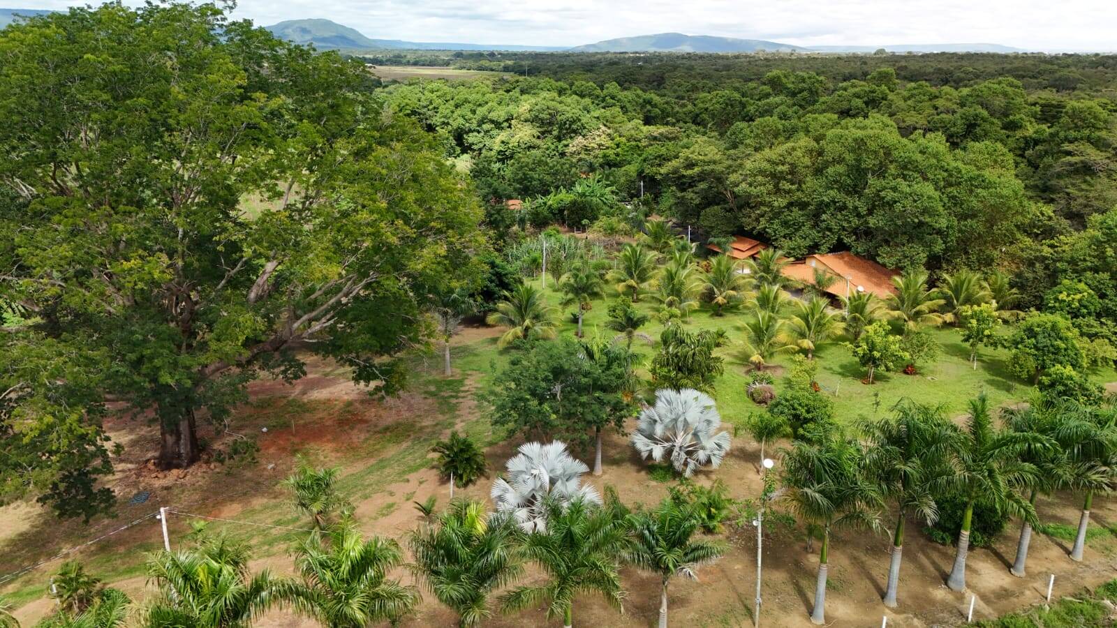 Fazenda à venda com 3 quartos, 330000m² - Foto 10