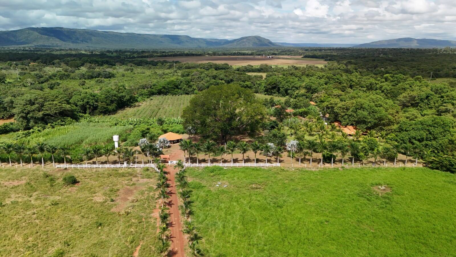 Fazenda à venda com 3 quartos, 330000m² - Foto 12