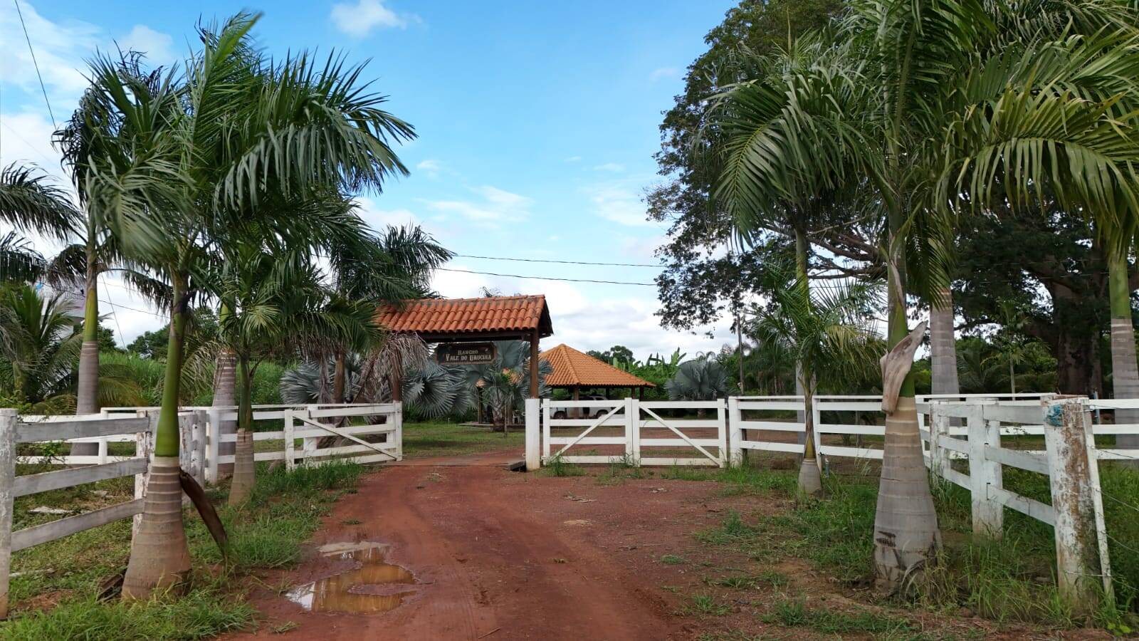 Fazenda à venda com 3 quartos, 330000m² - Foto 13