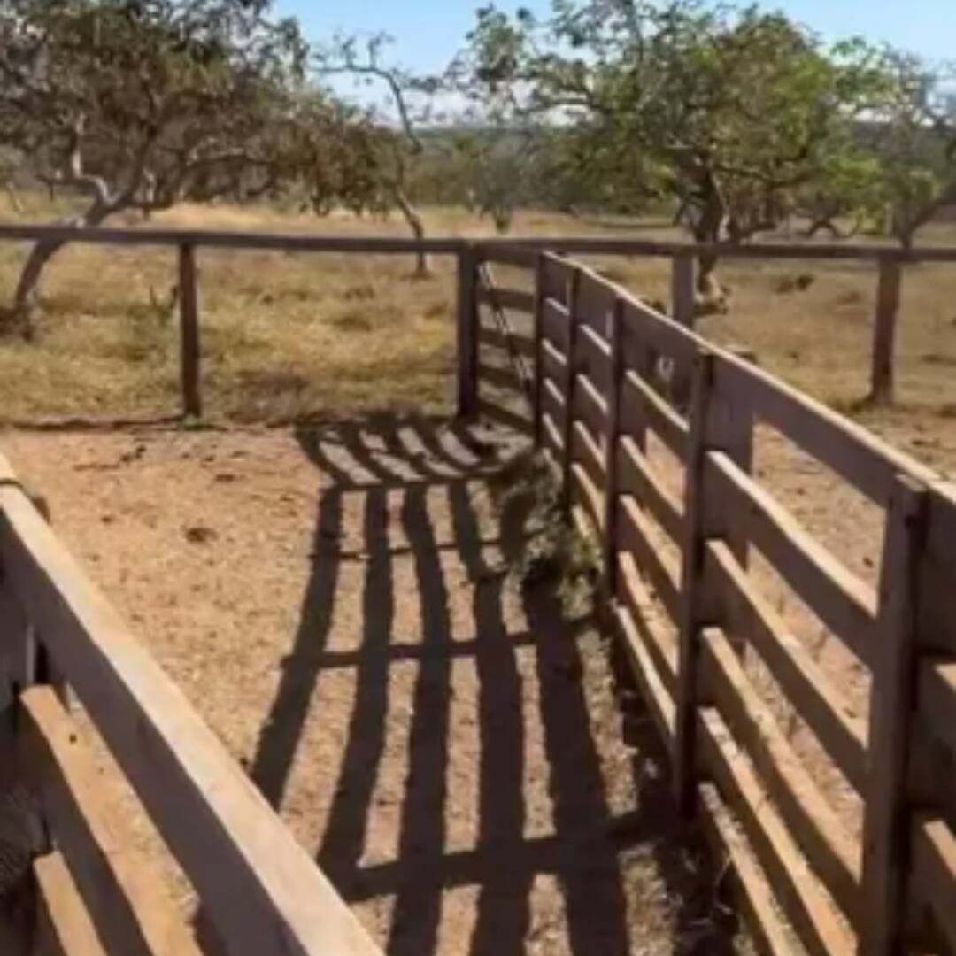 Terreno à venda, 29m² - Foto 3