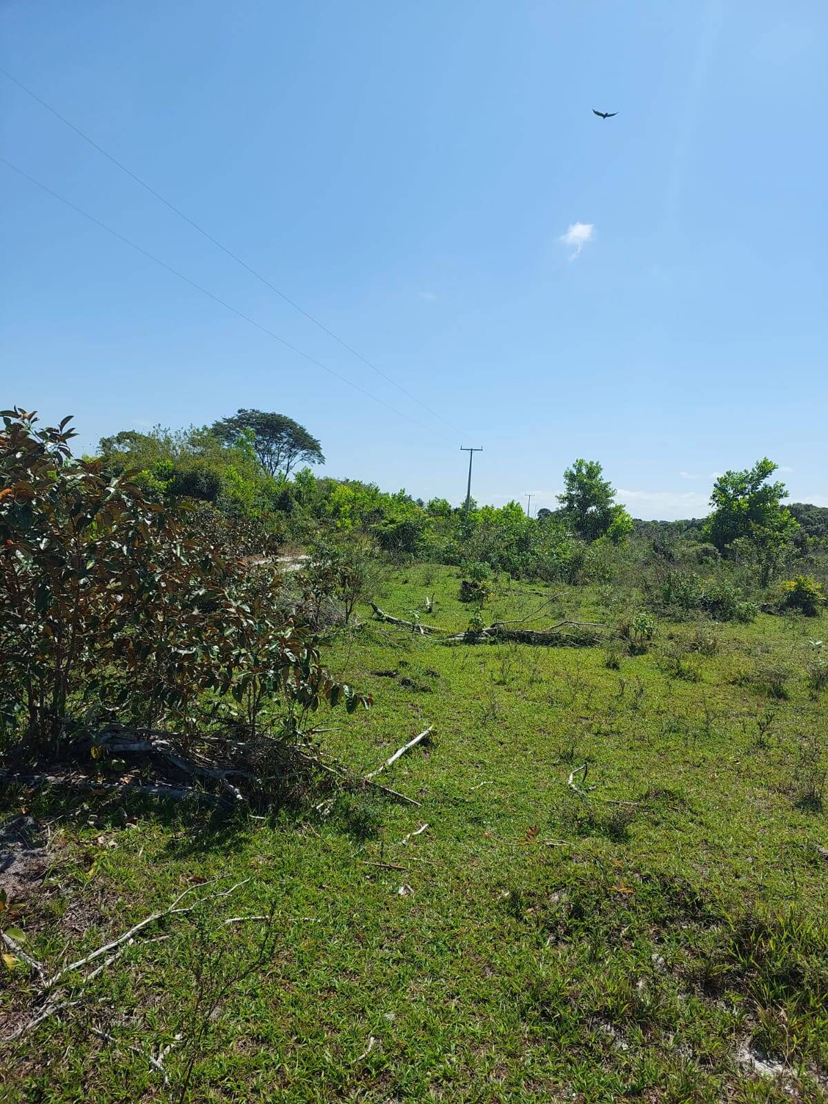 Terreno à venda, 14m² - Foto 2