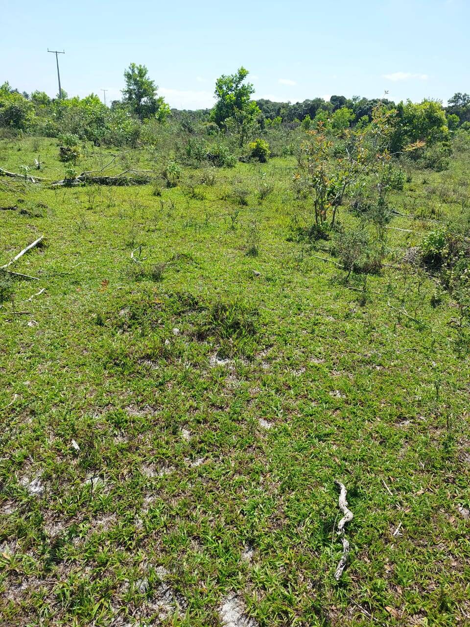 Terreno à venda, 14m² - Foto 3