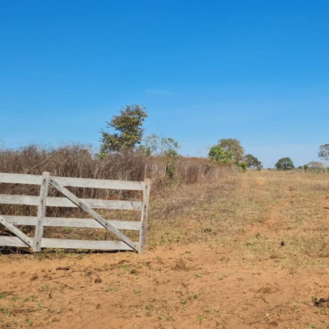 Fazenda à venda com 3 quartos, 581m² - Foto 2