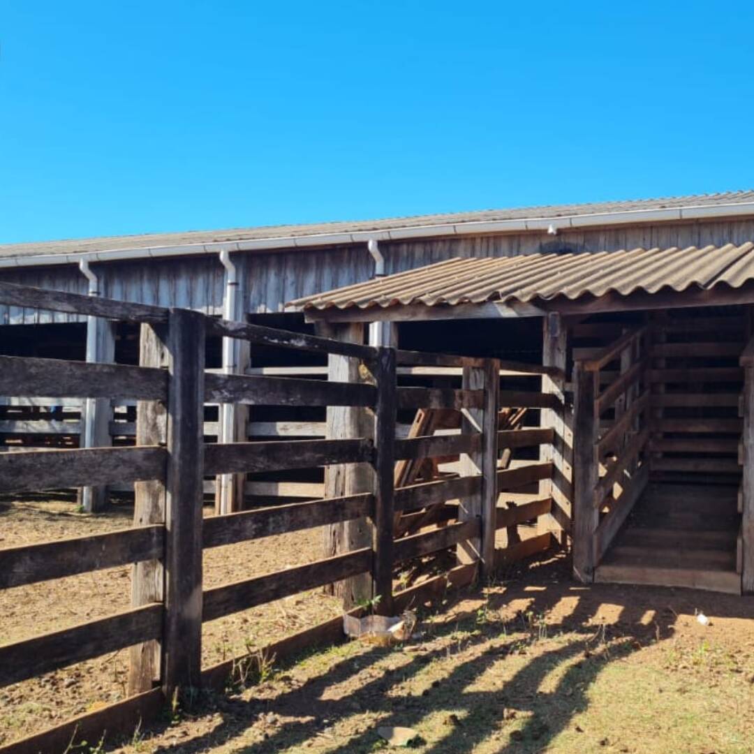 Fazenda à venda com 3 quartos, 581m² - Foto 6