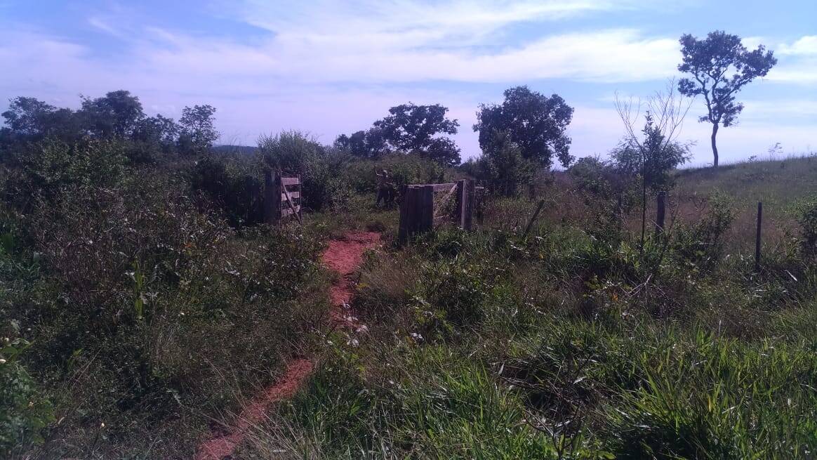 Fazenda à venda com 3 quartos, 581m² - Foto 10