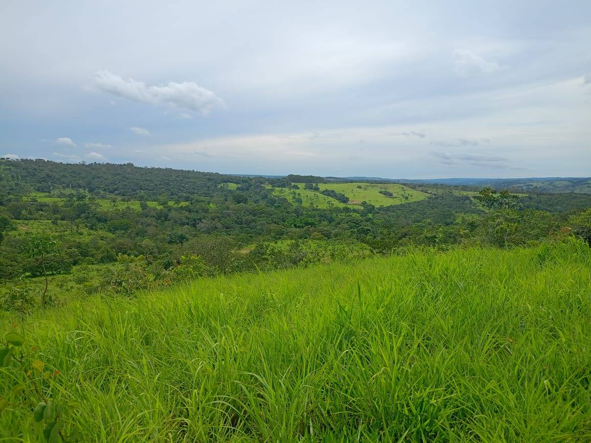 Fazenda à venda com 6 quartos, 63m² - Foto 2