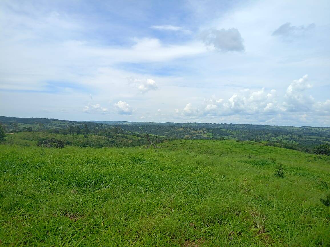 Fazenda à venda com 6 quartos, 63m² - Foto 3