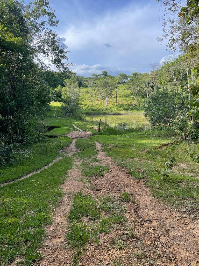 Terreno à venda, 24m² - Foto 1