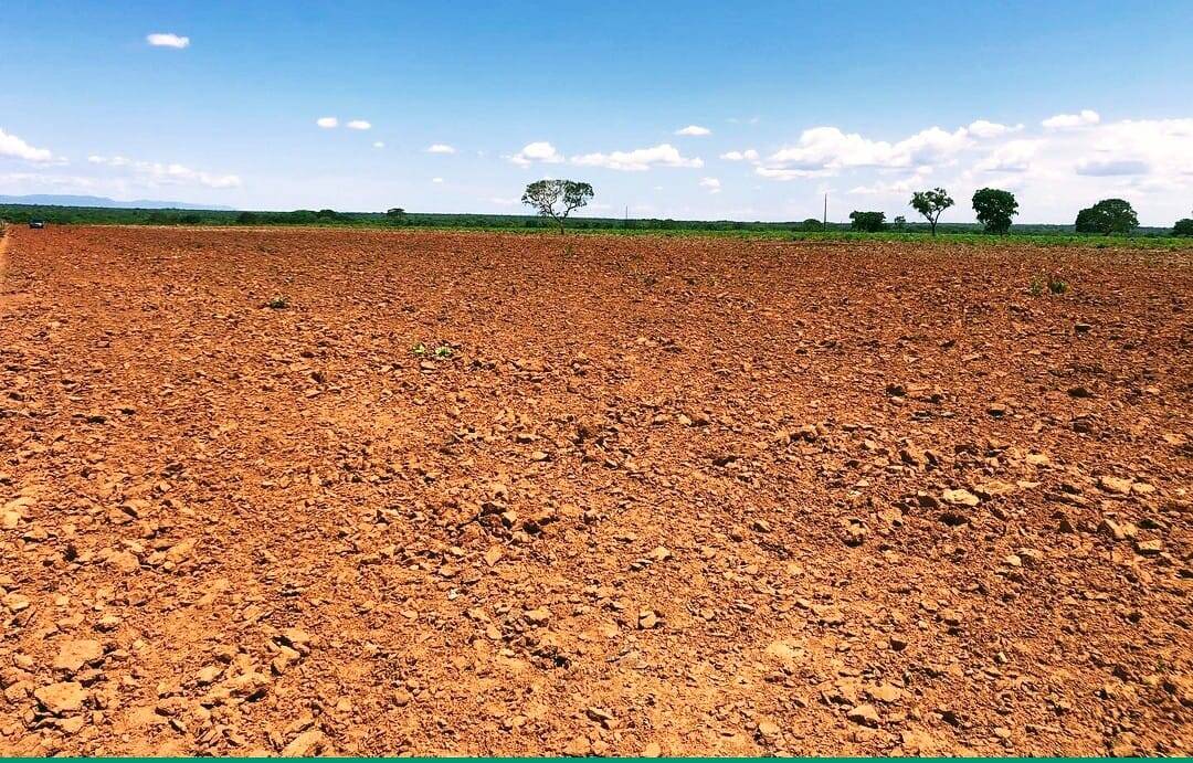 Terreno à venda, 1000m² - Foto 4