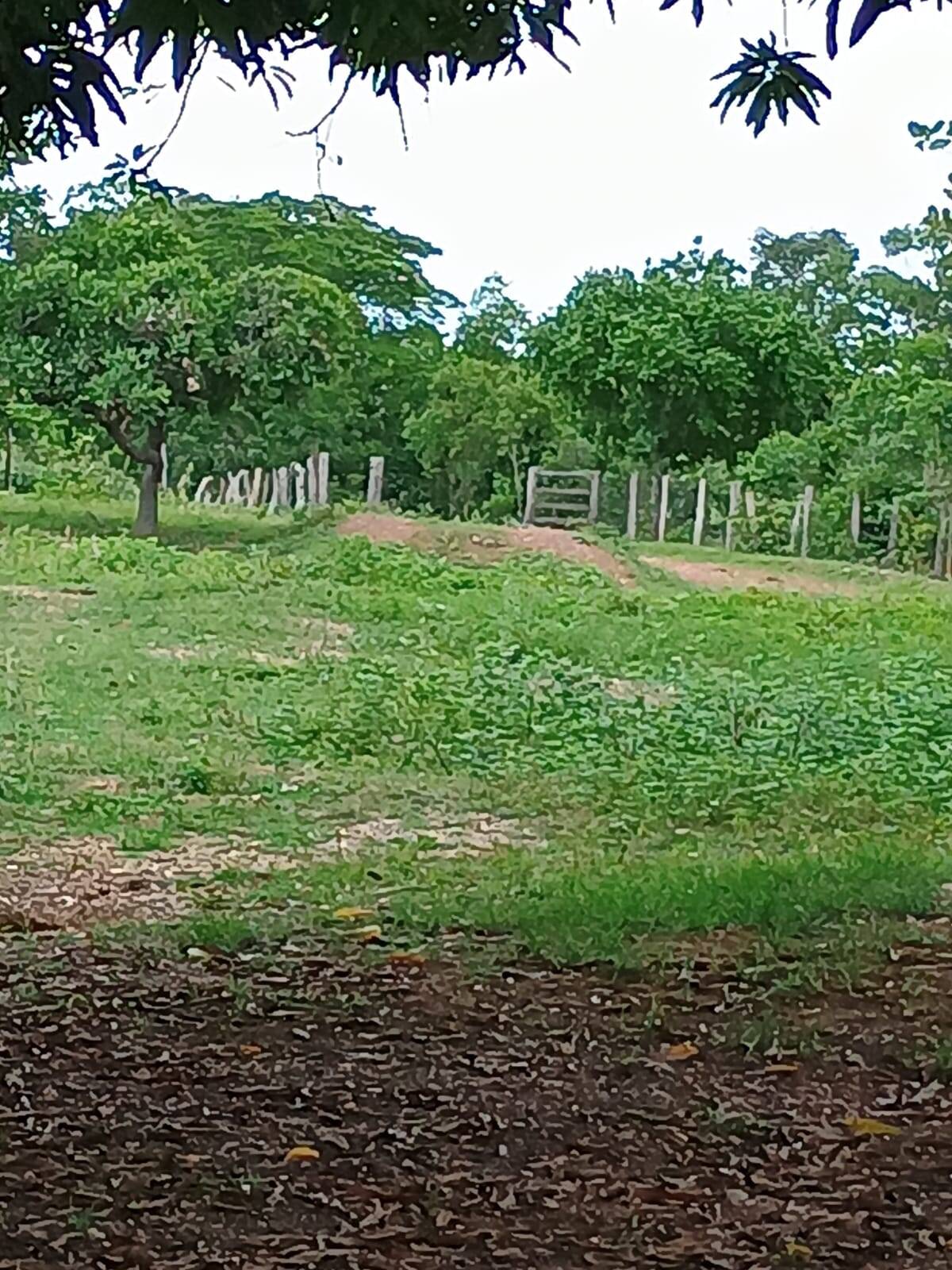 Terreno à venda, 500m² - Foto 3