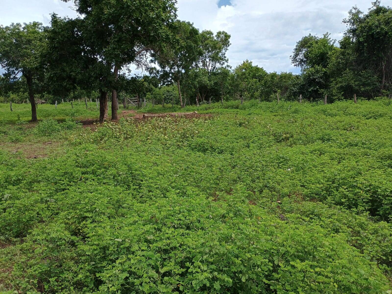 Terreno à venda, 500m² - Foto 10