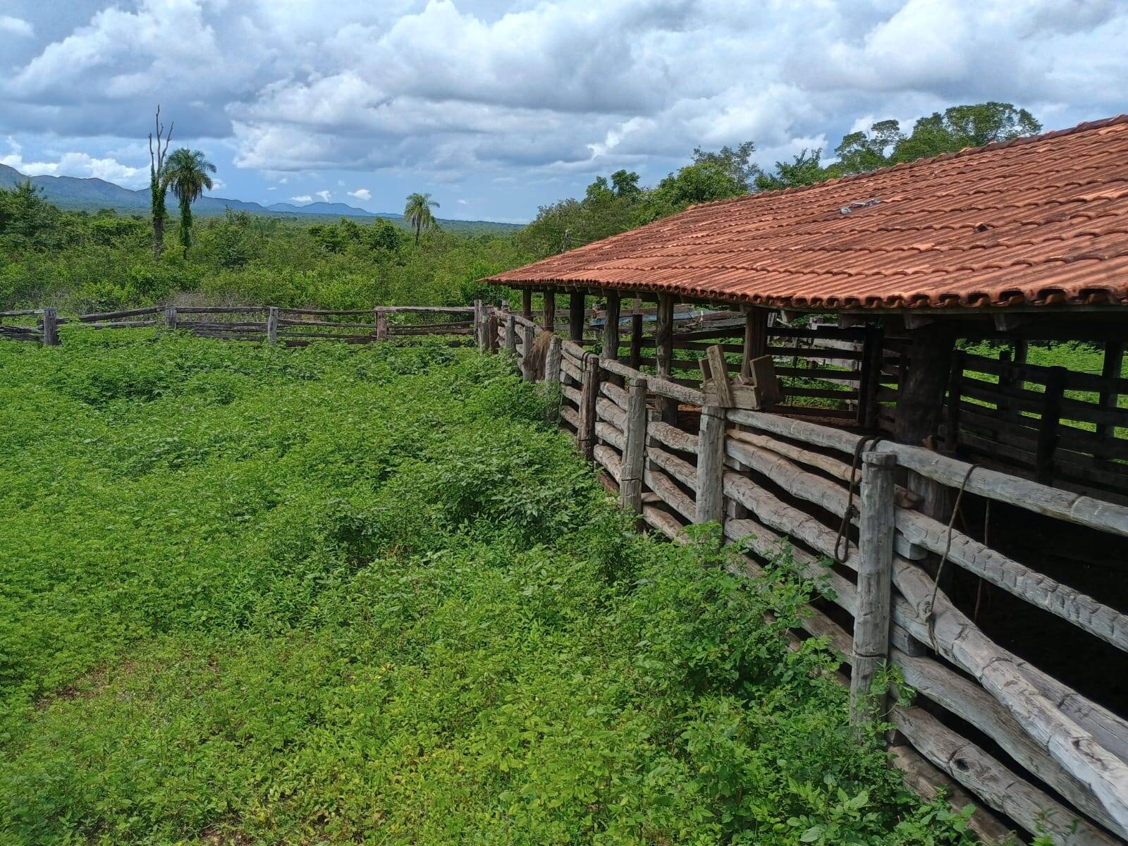 Terreno à venda, 500m² - Foto 16