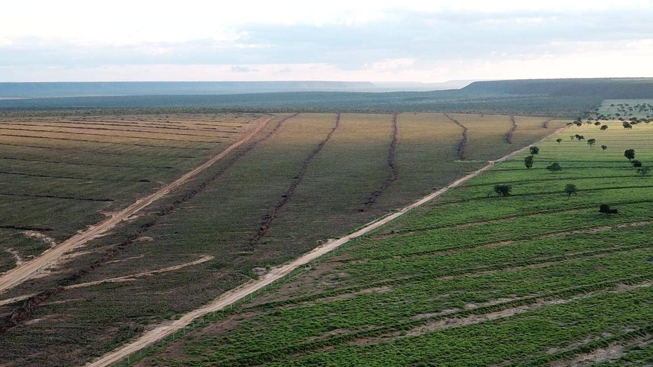 Terreno à venda, 1100m² - Foto 6